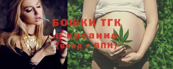 гидра Каменка