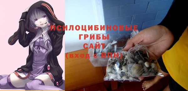 гидра Каменка