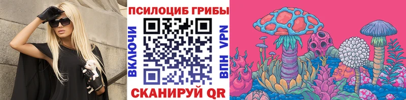 Купить закладки  Асбест  Псилоцибиновые грибы мицелий 